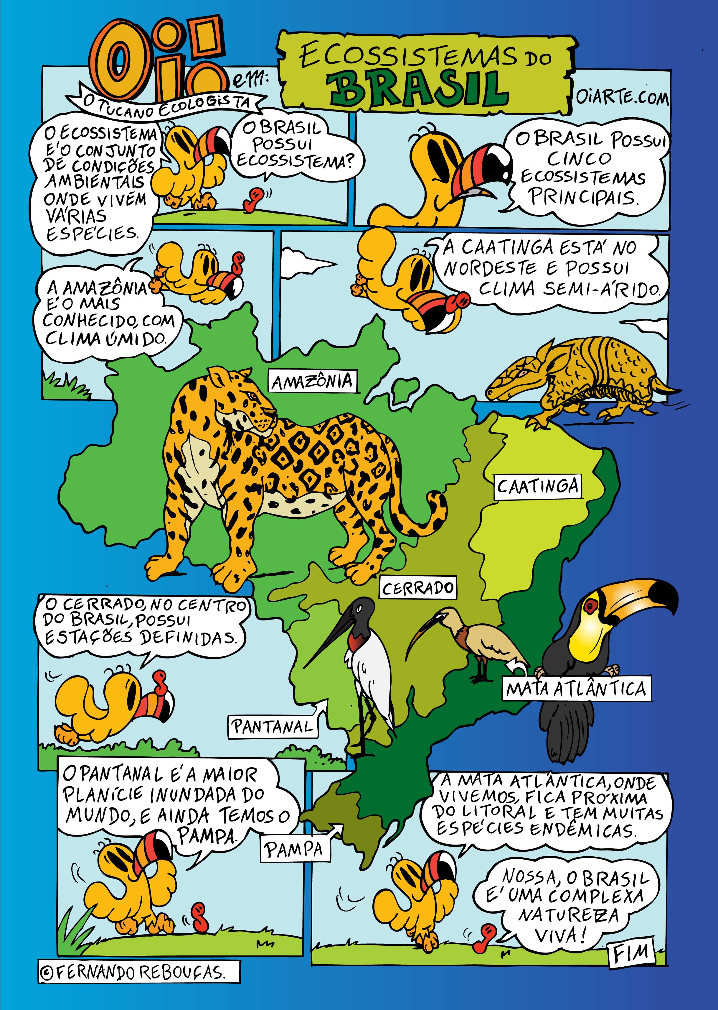 Ecossistemas Brasil