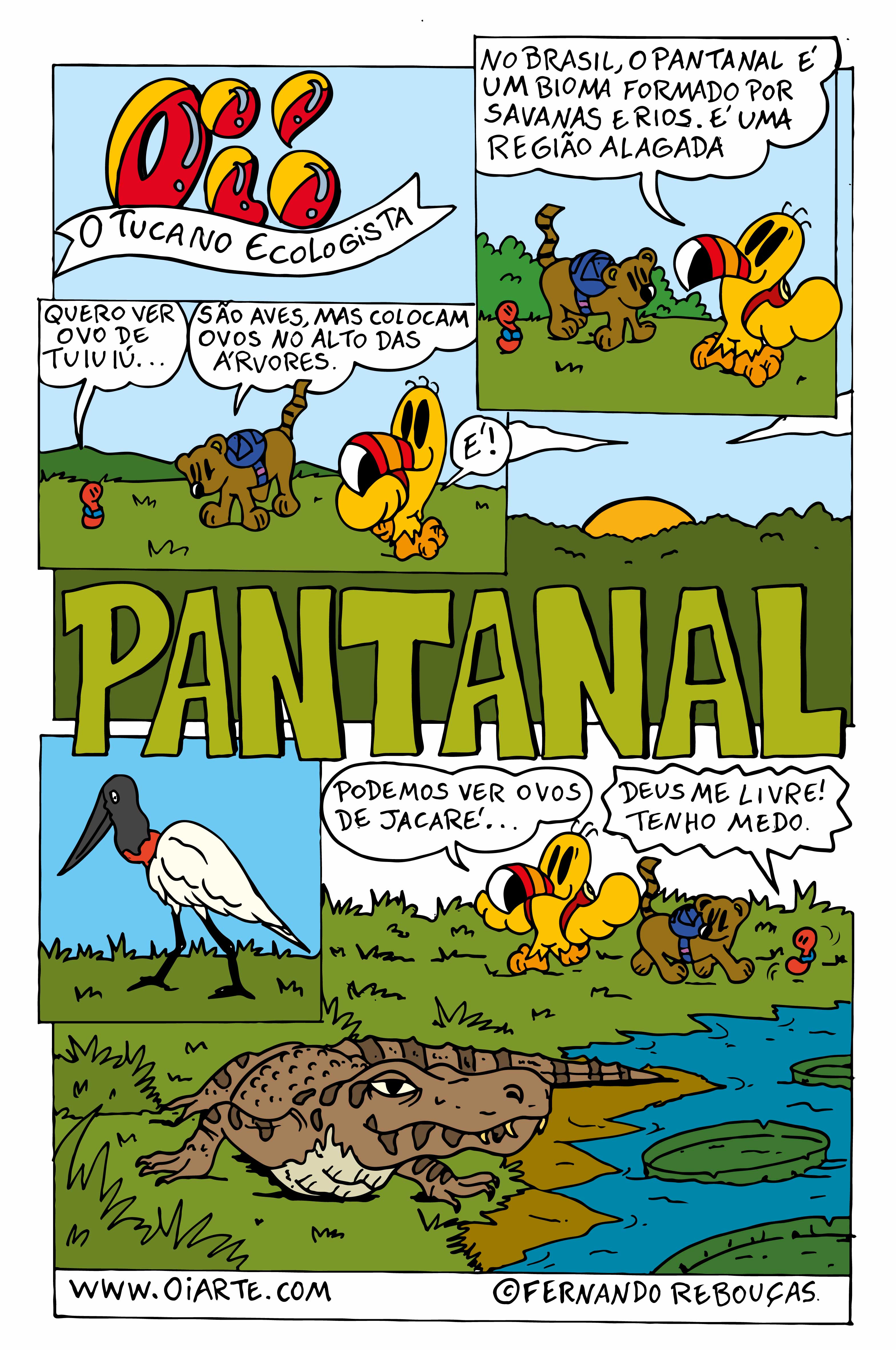 Pantanal bioma quadrinhos