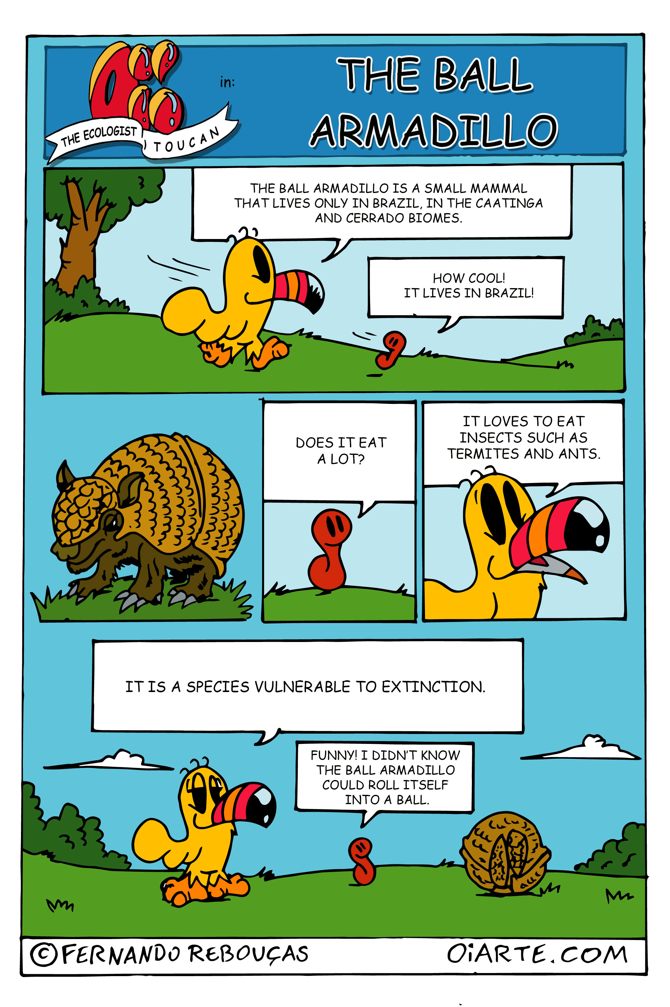 comics about ball armadillo of Brazil